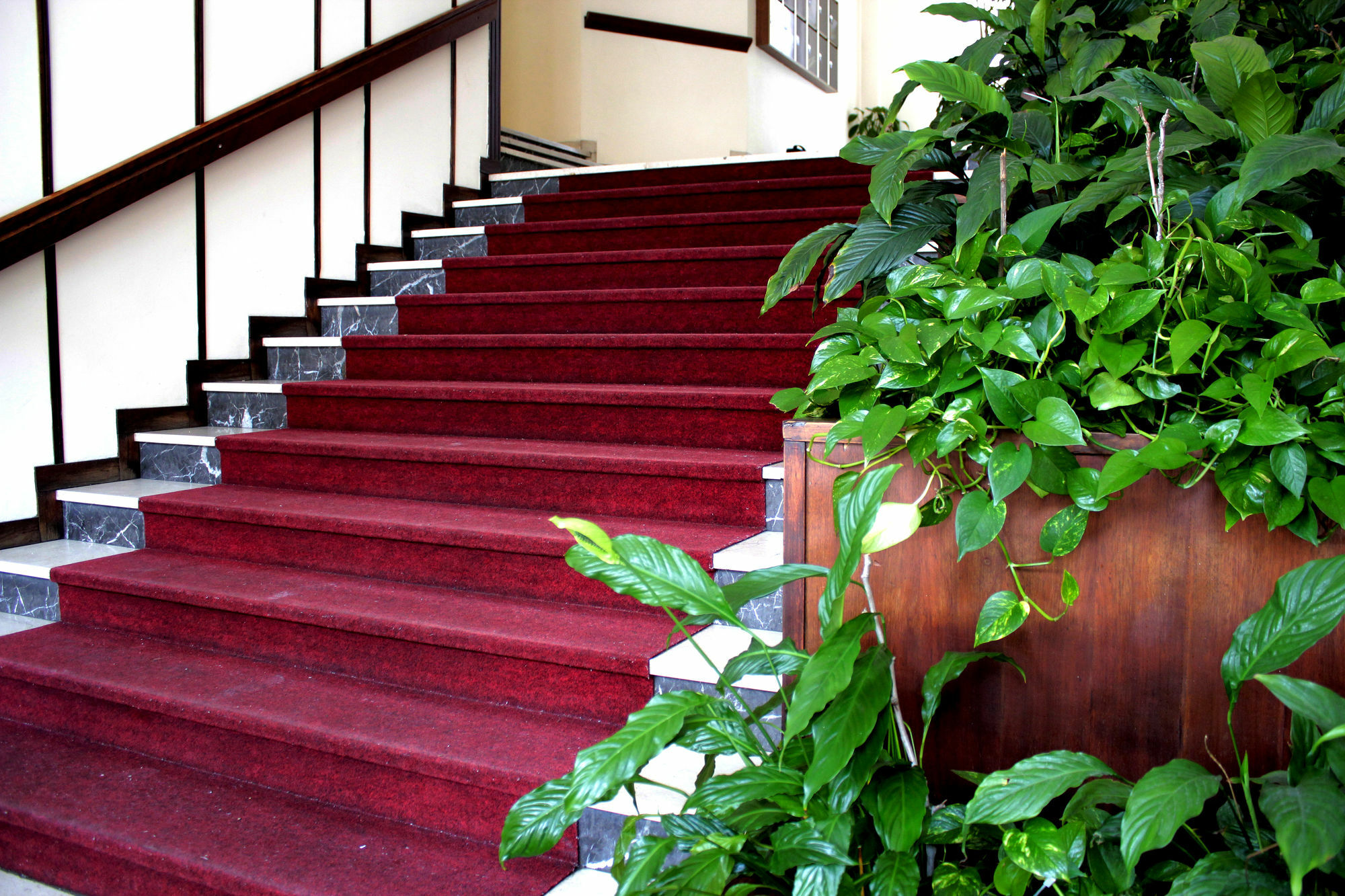 Casa Camilla City ปาโดวา ภายนอก รูปภาพ